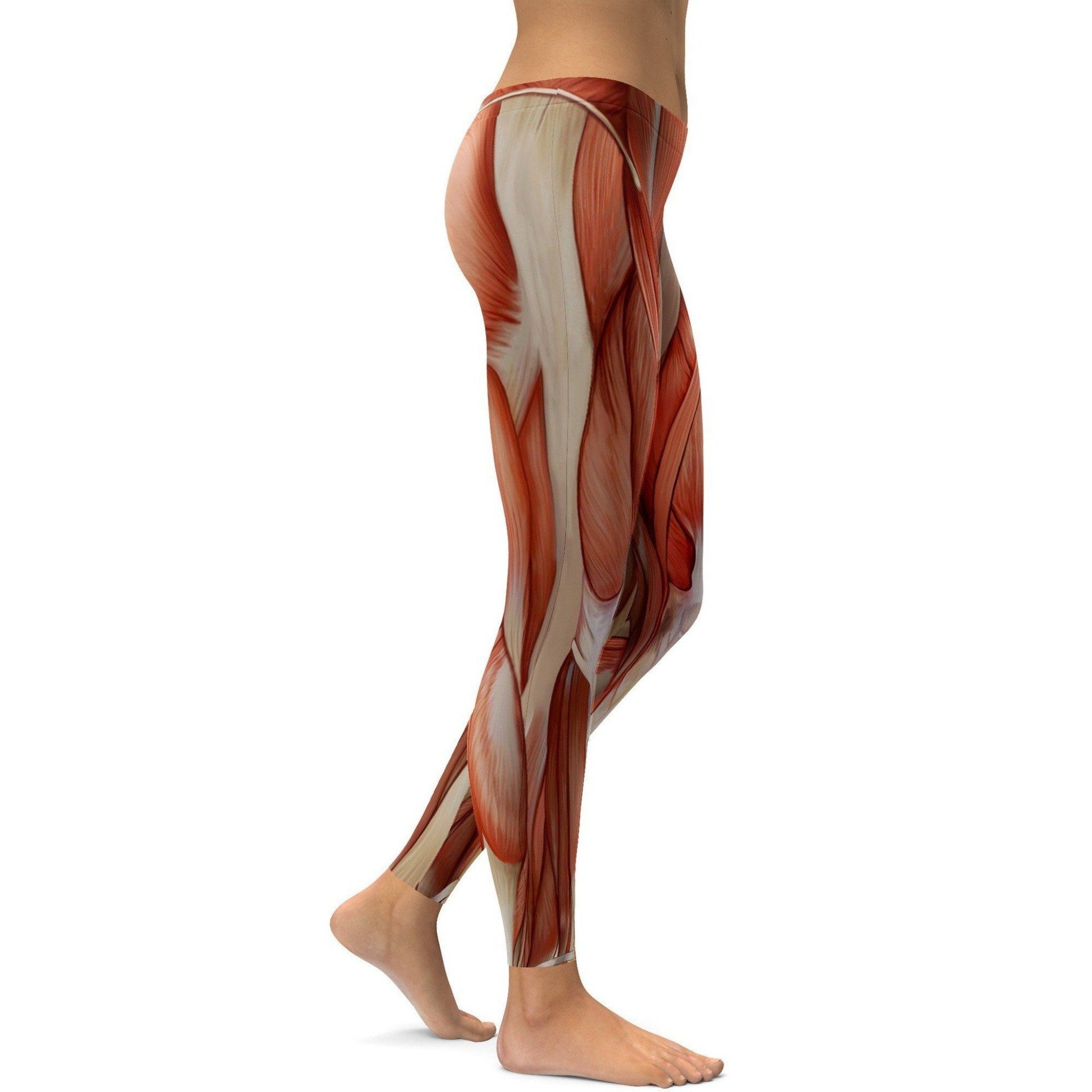 GearBunch | Realistic Human Muscles Leggings