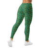 Dragon Hills Fantasy Leggings | GearBunch