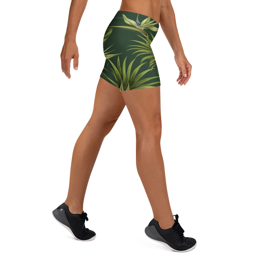 Shorts right view | GearBunch