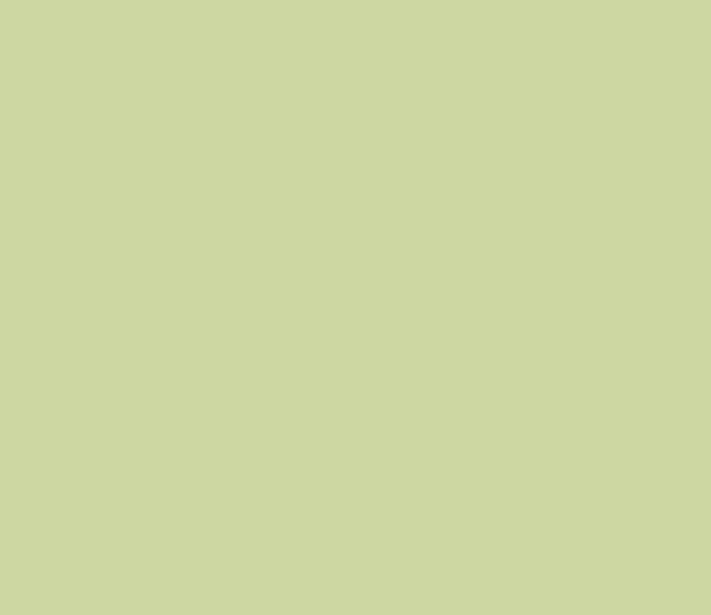 Solid Pistachio Kids Leggings