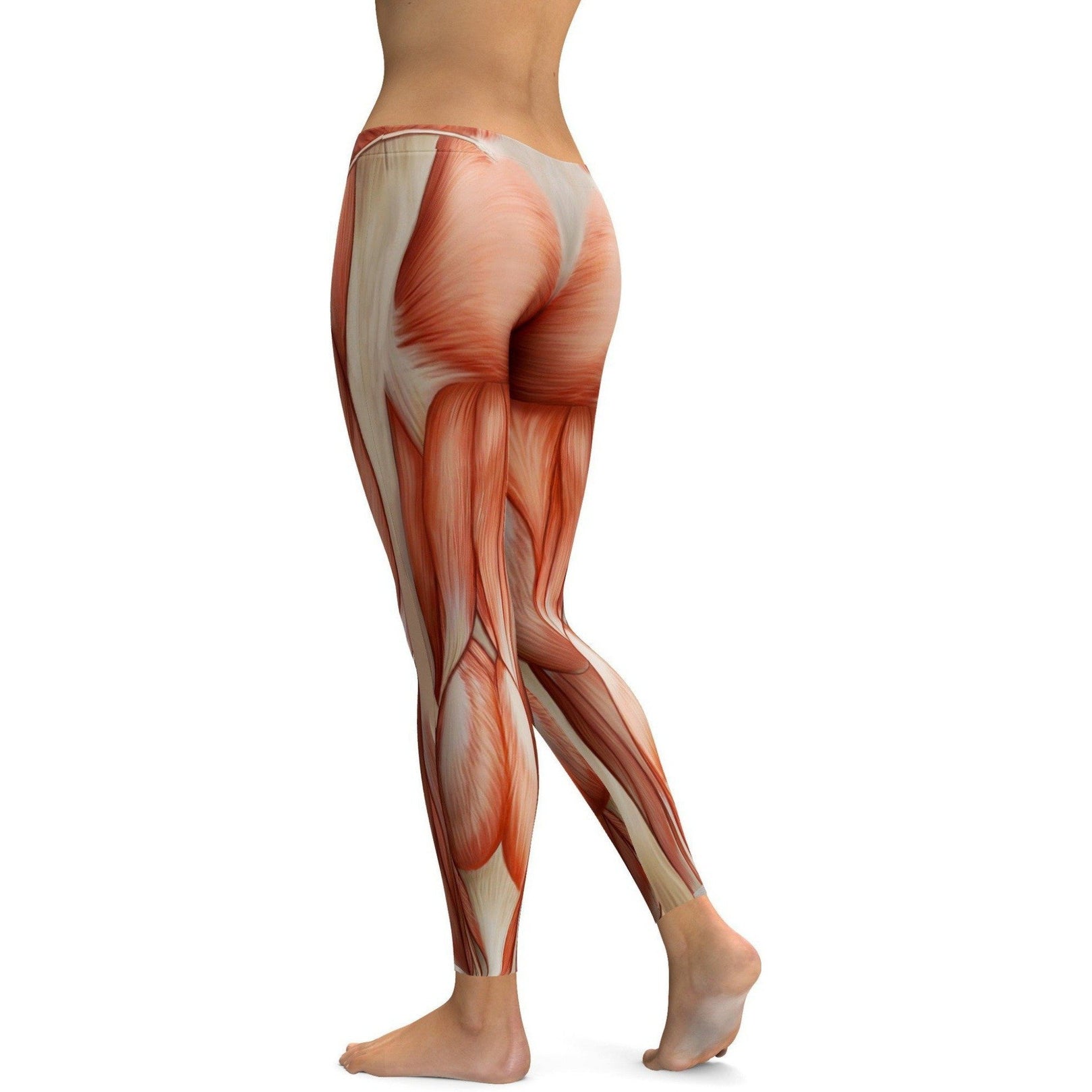 Realistic Human Muscles Leggings | GearBunch