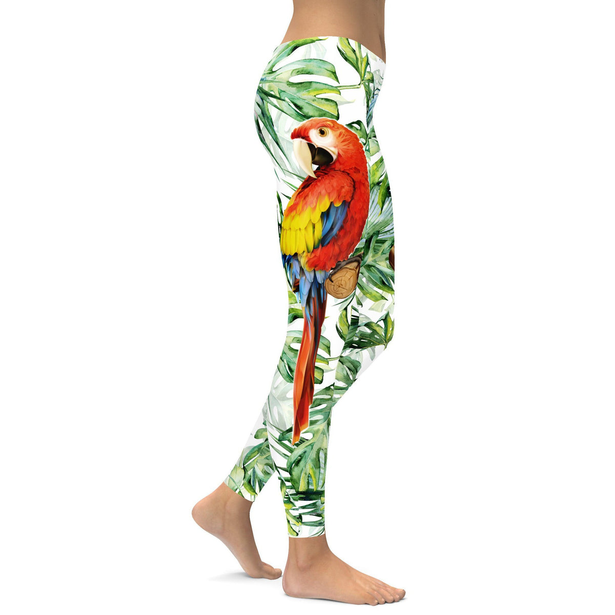 Colorful Parrot Leggings GearBunch