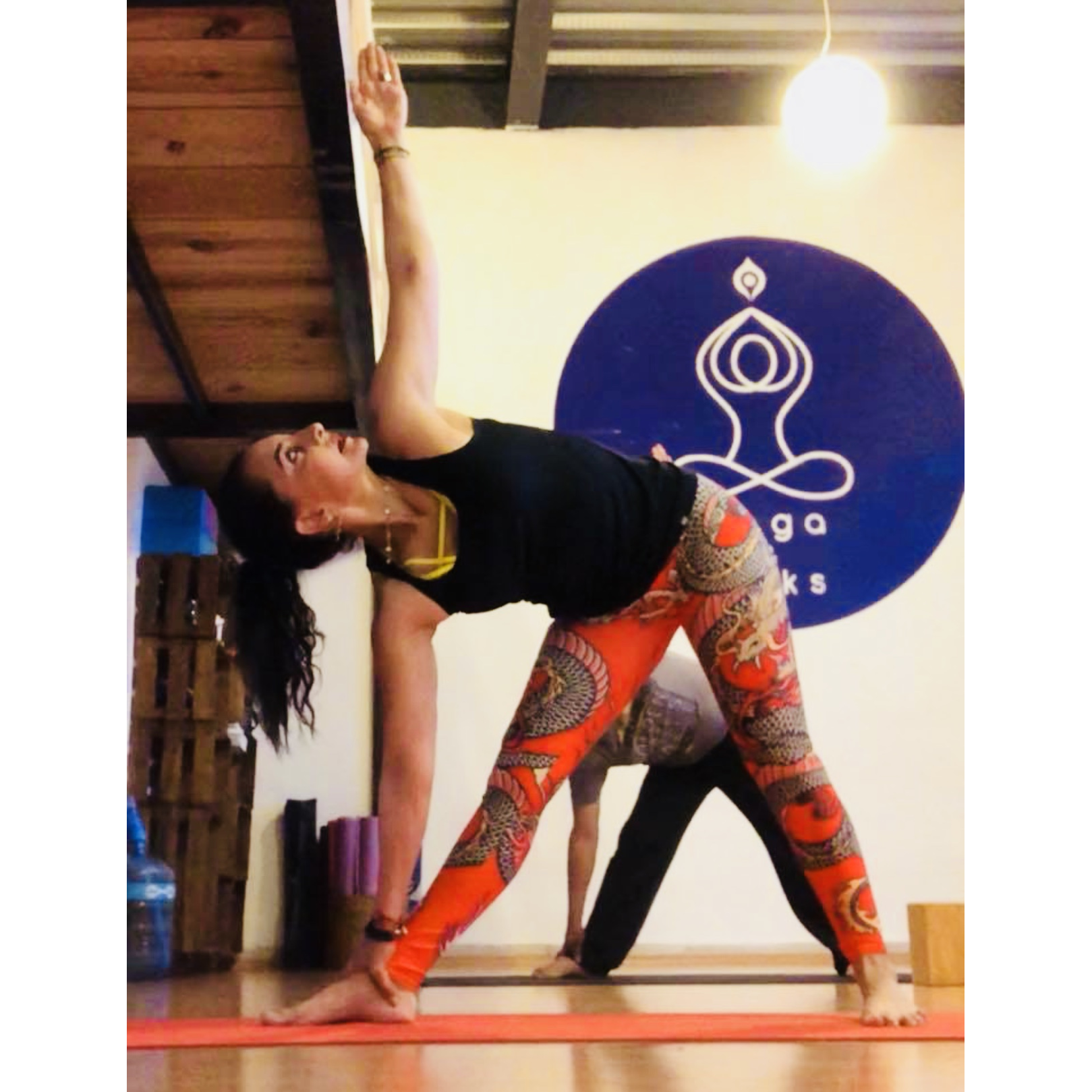  Dragon Print Womens Leggings High Waisted Yoga